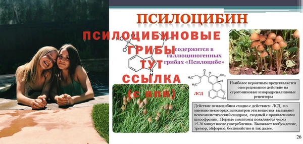 спиды Остров