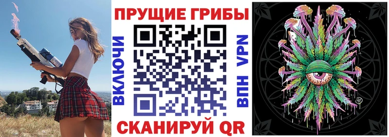 Купить закладки  Старица  Псилоцибиновые грибы GOLDEN TEACHER 