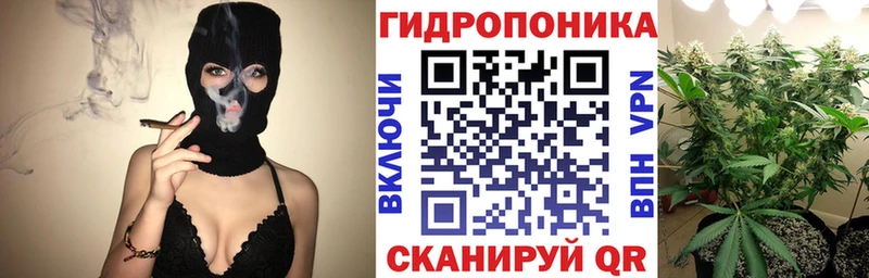 Купить где  Старица  Марихуана сатива 